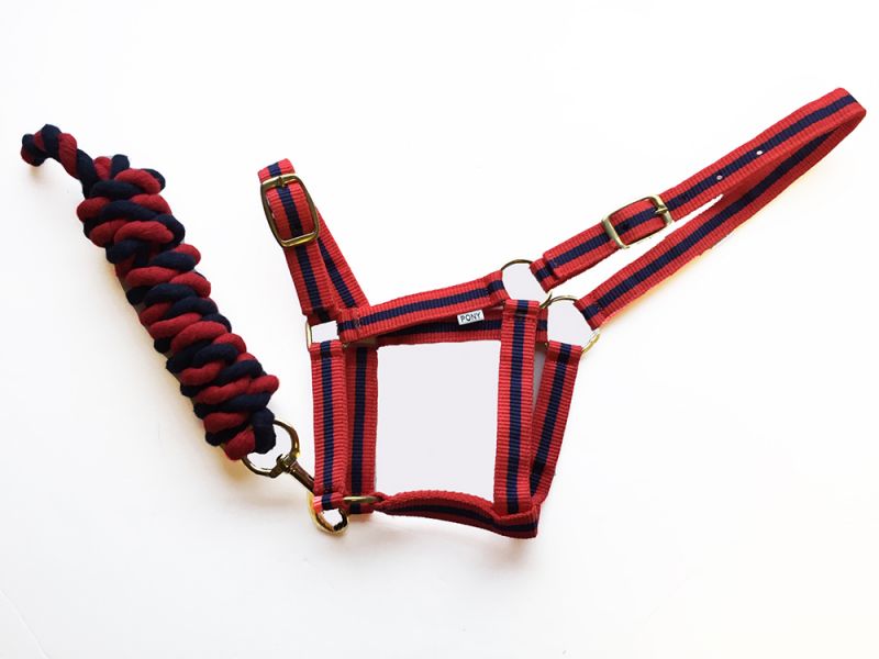 Harlequin Headcollar and leadrope Set