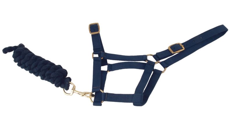 Harlequin Headcollar and leadrope Set