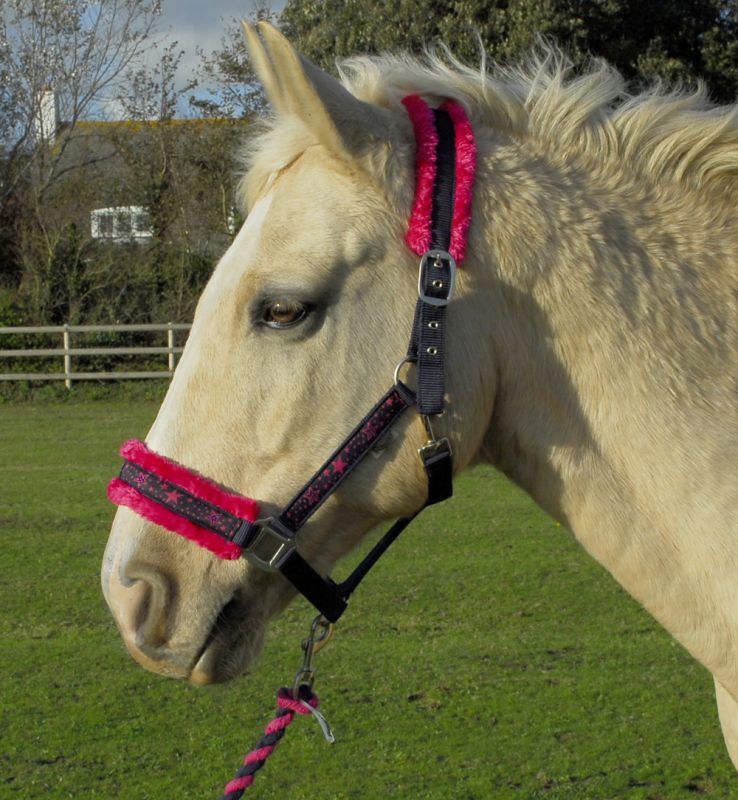 Rhinegold Crystal Star Headcollar & Rope Set