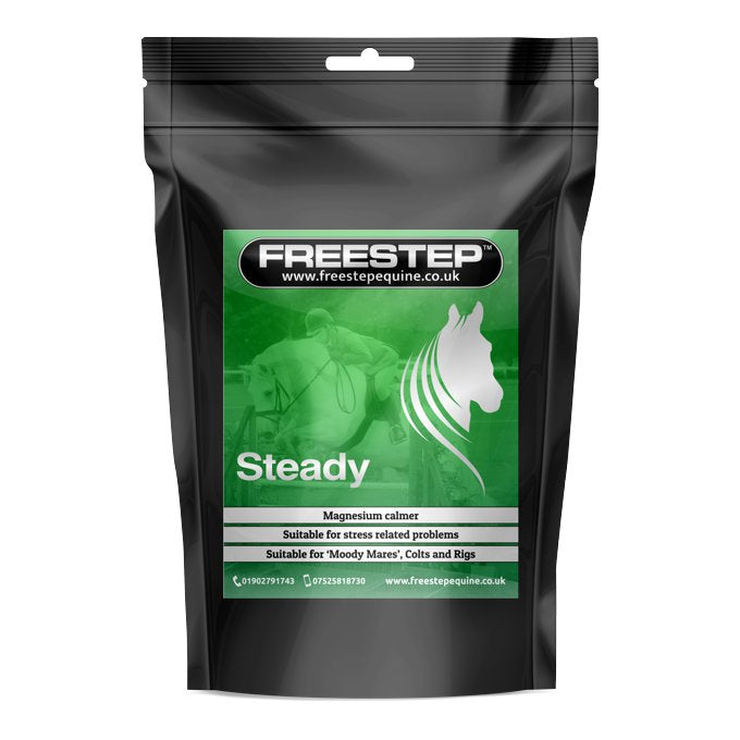 FreeStep - Steady