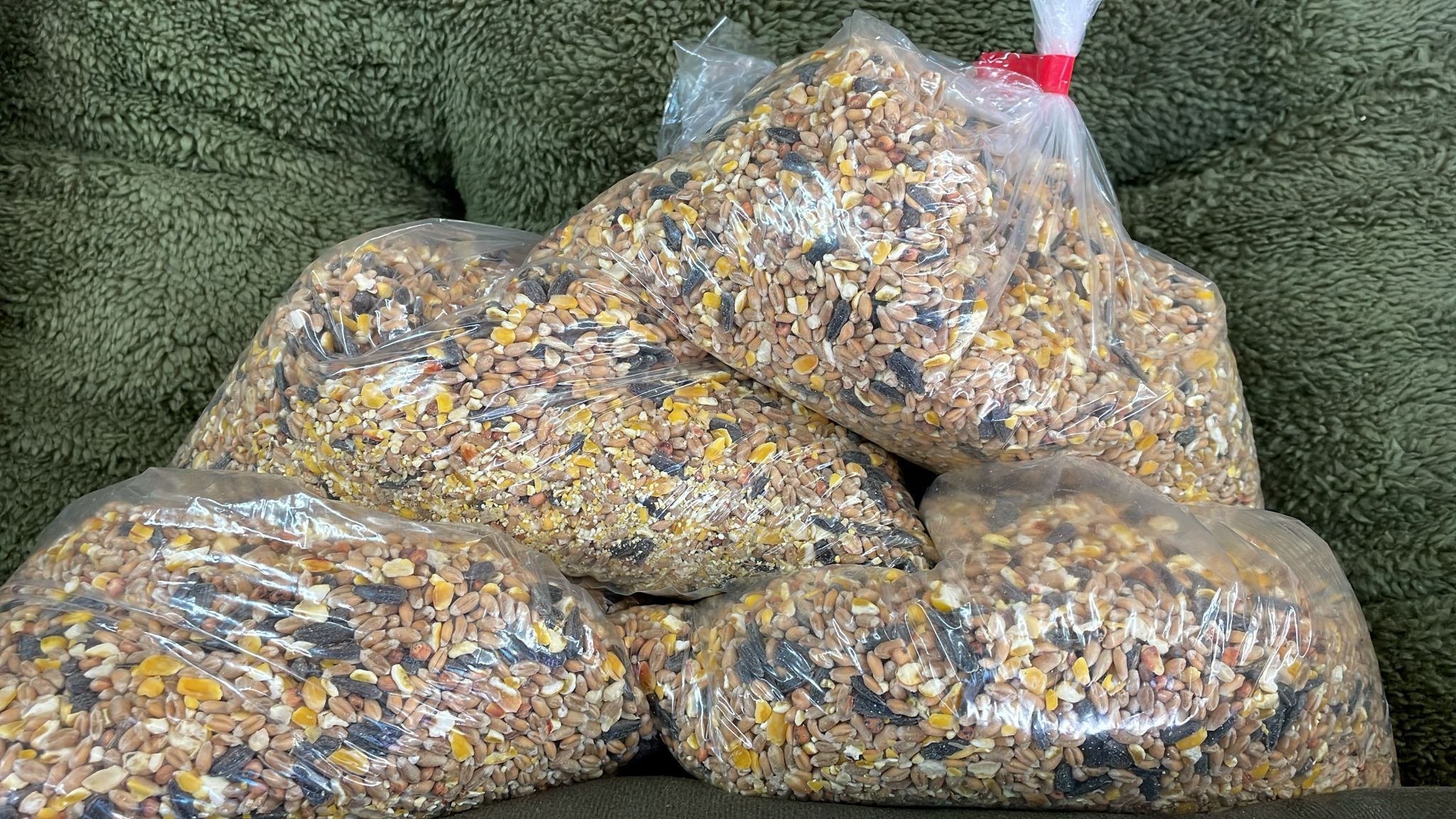 1 kg Wild Bird Seed