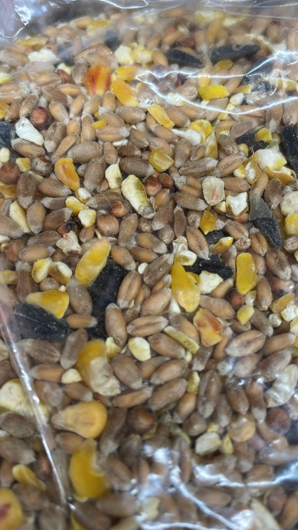1 kg Wild Bird Seed