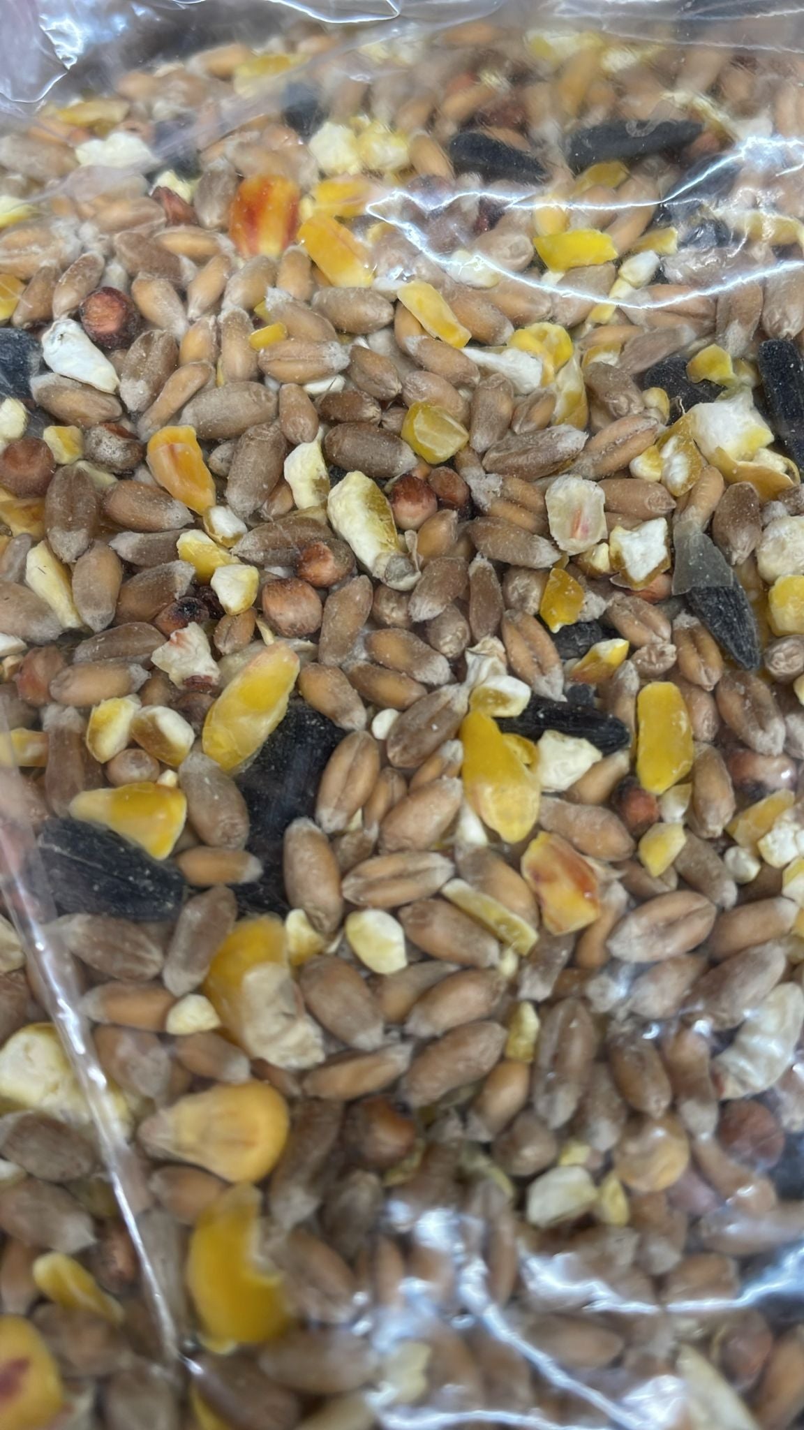 1 kg Wild Bird Seed