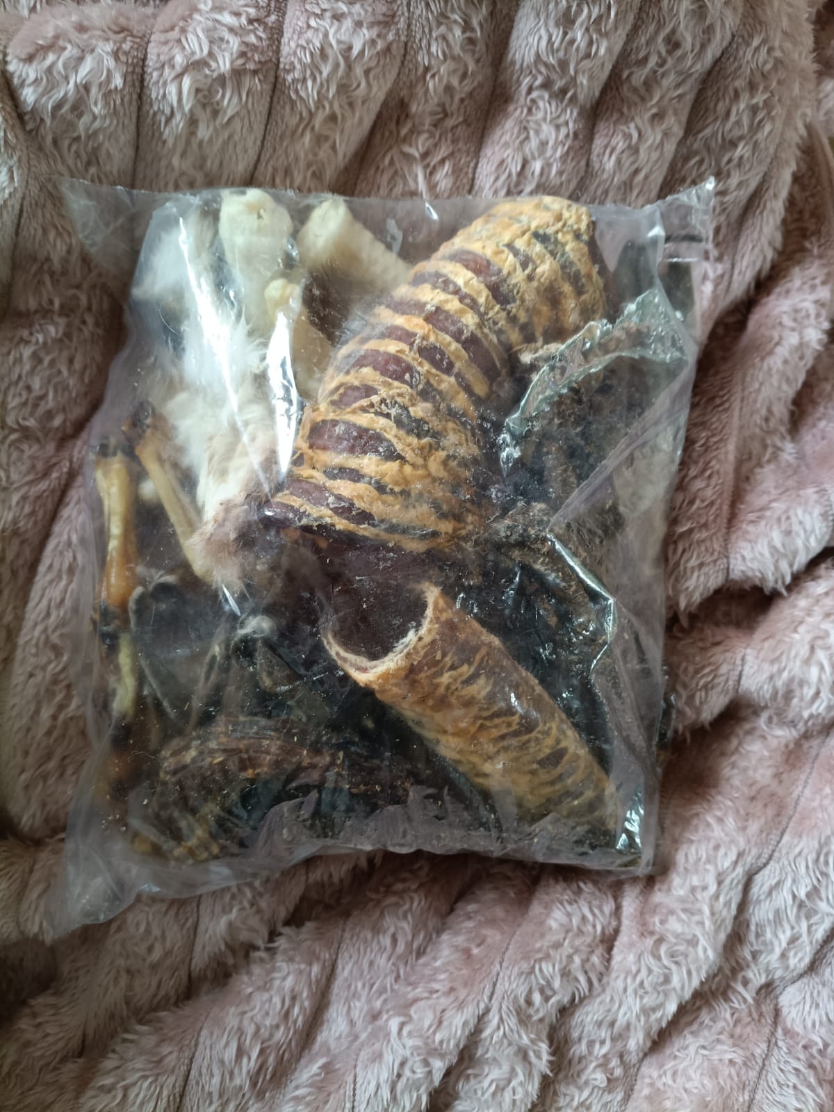 Box of mixed natural dog treats
