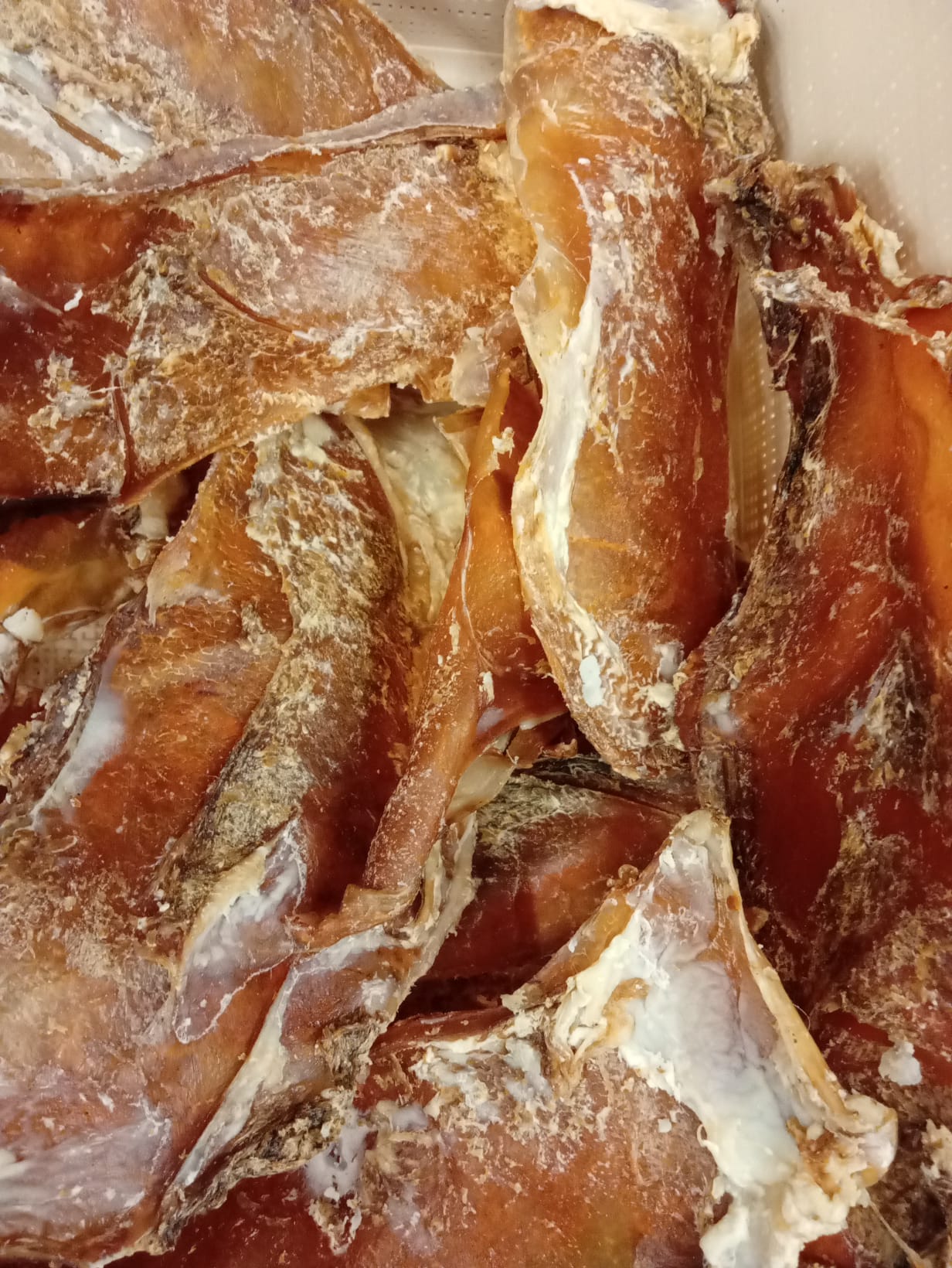 Beef Cartilage