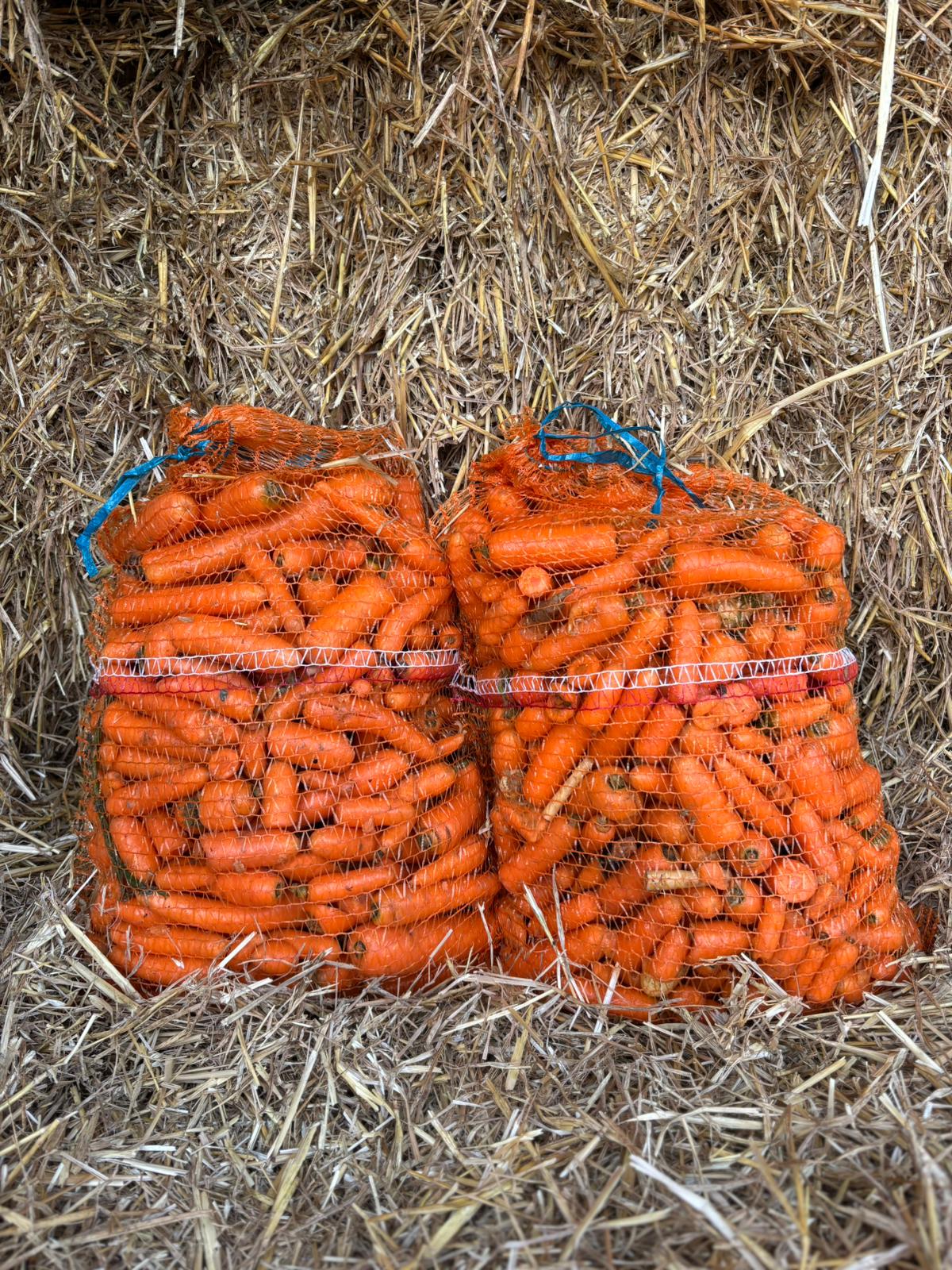 Netted Bags of Carrots
