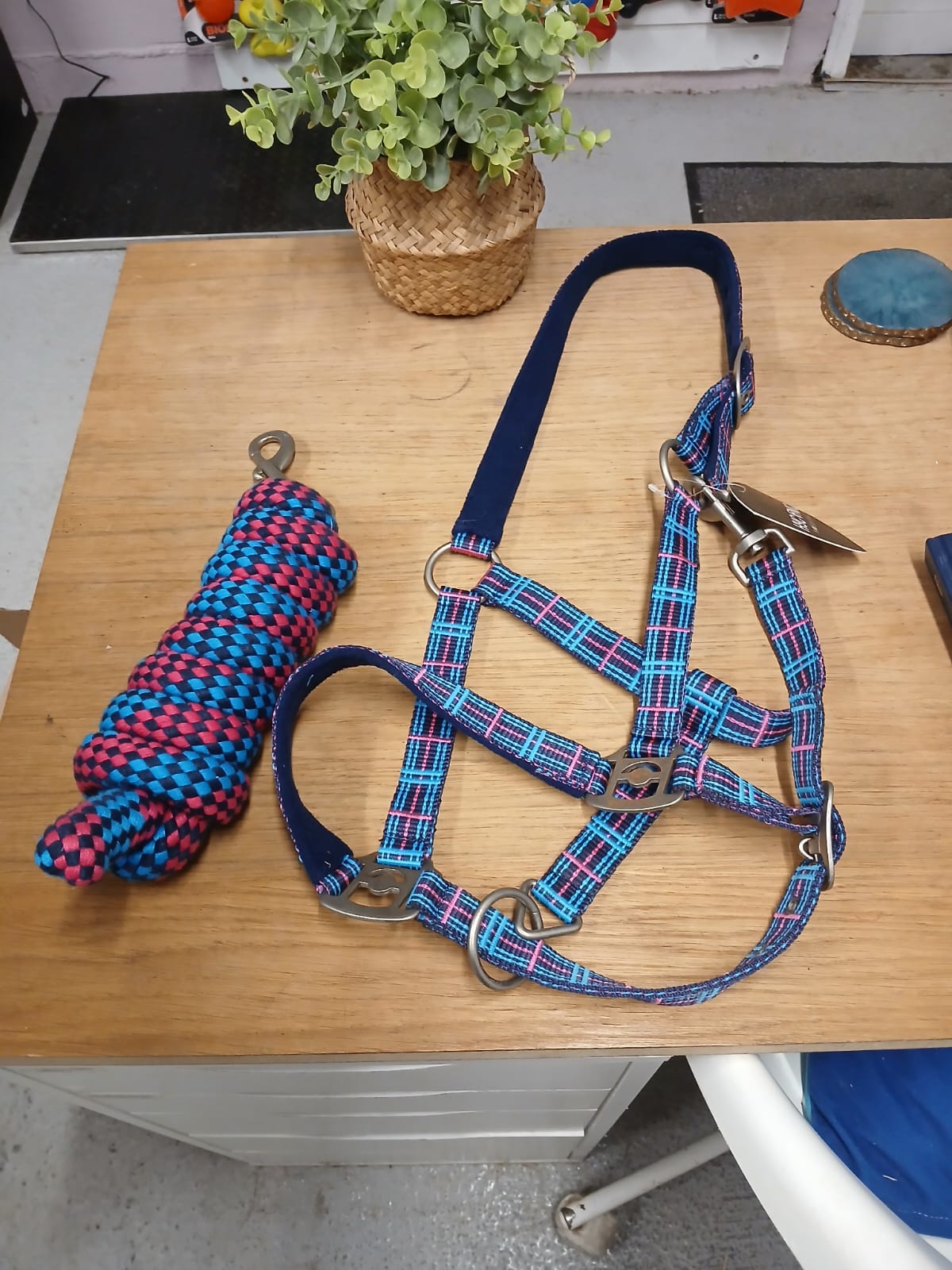 Hy Tartan headcollars with lead ropes