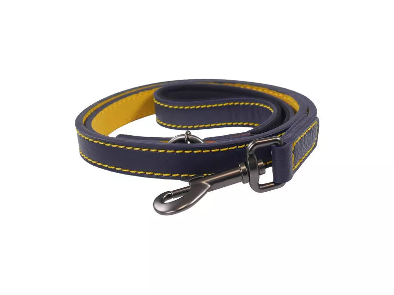 Navy Blue Joules Leather Dog Leads