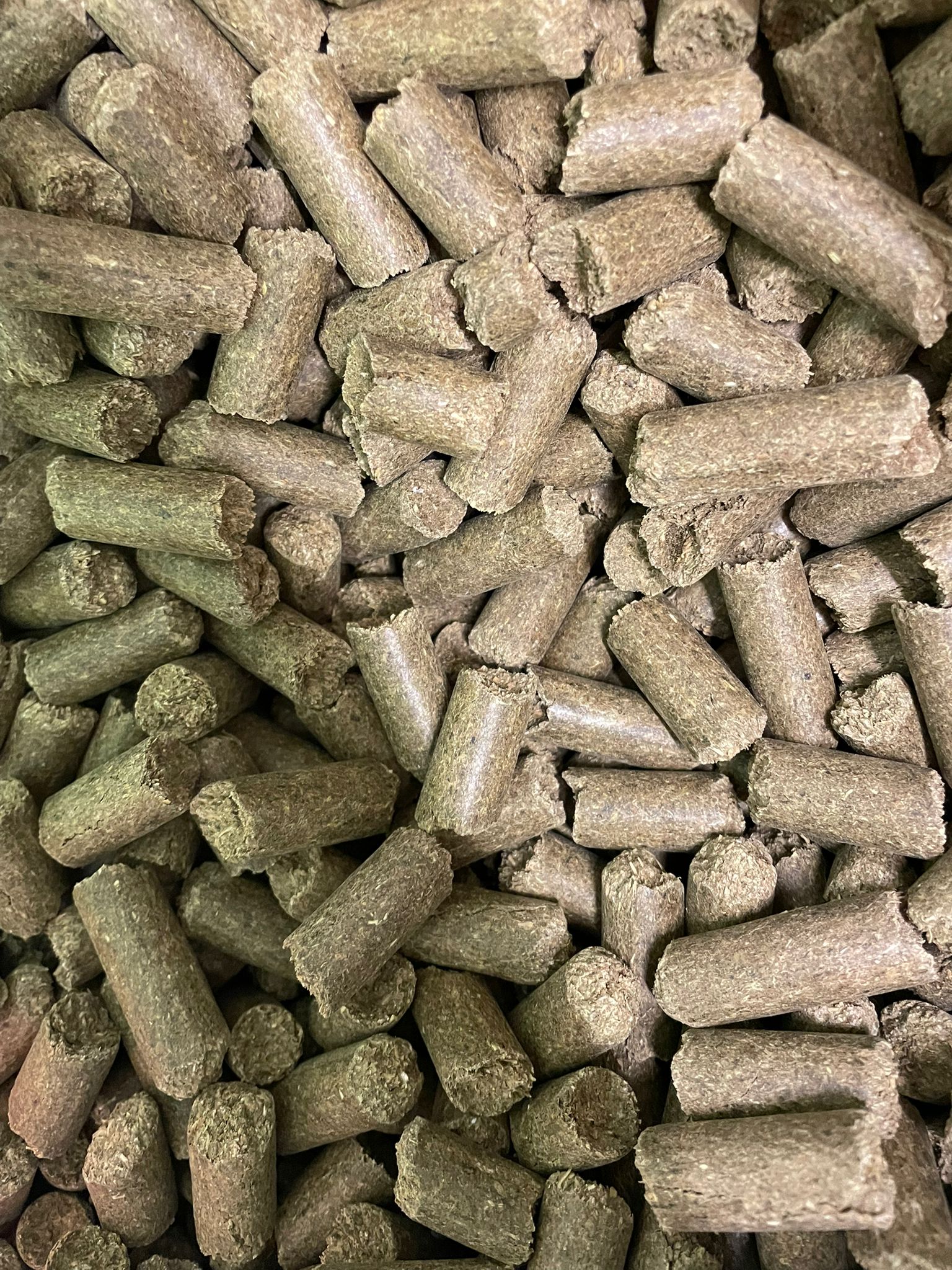 1kg Minty Horse Treats