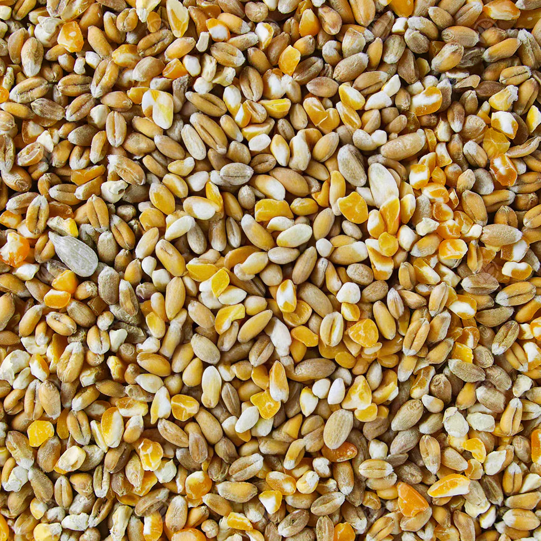 Mixed Poultry Corn 20kg