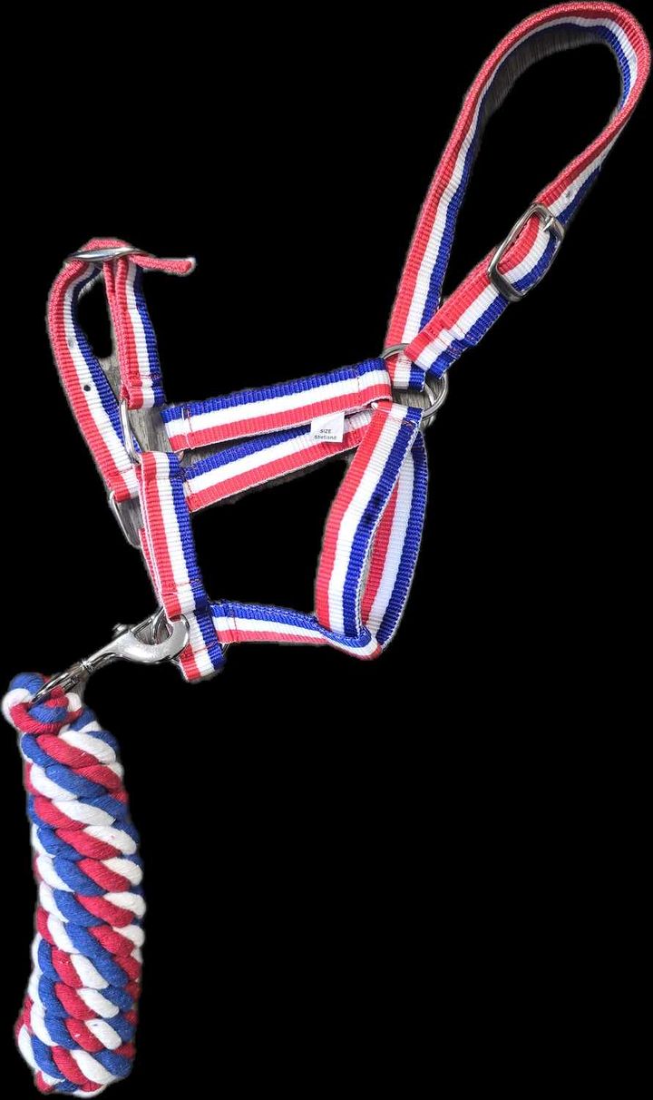Harlequin Headcollar and leadrope Set