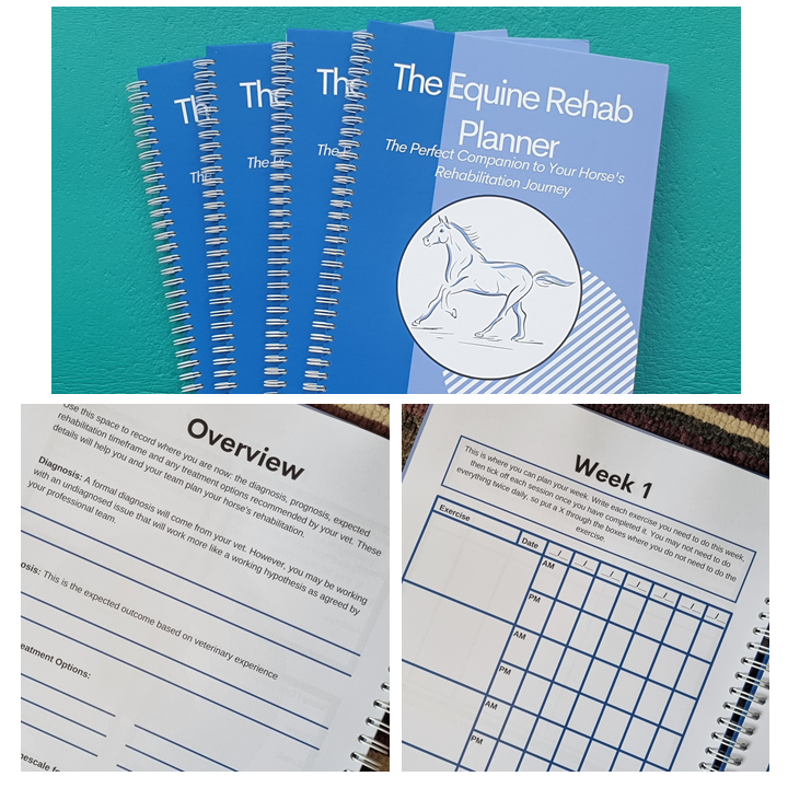 The Equine Rehab Planner