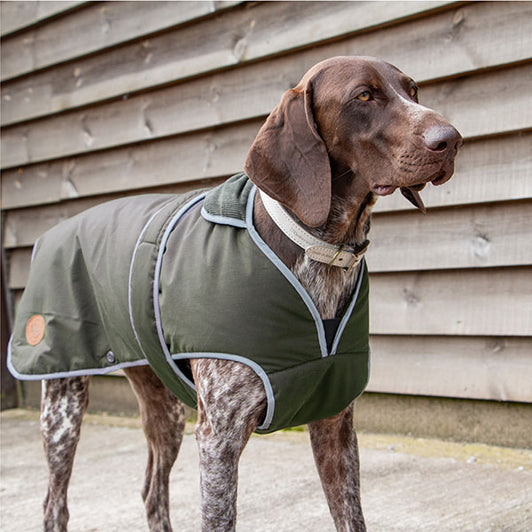 Heritage Wax Cotton Dog Coat with Harness Hole
