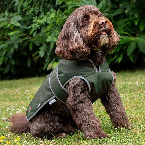 Heritage Wax Cotton Dog Coat with Harness Hole